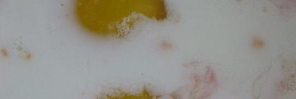 грейпфрутовое суфле