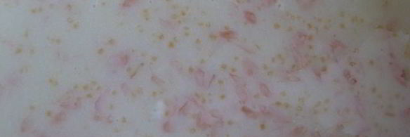 грейпфрутовое суфле