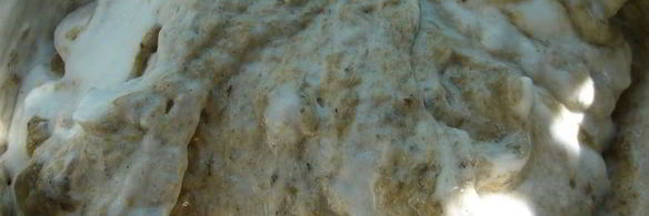 грибное суфле