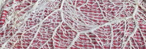 суфле с морепродуктами