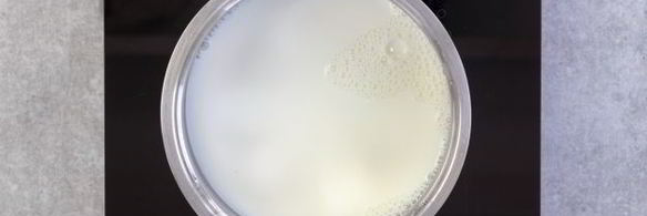 тирамису без маскарпоне