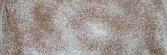 тирамису со сметаной