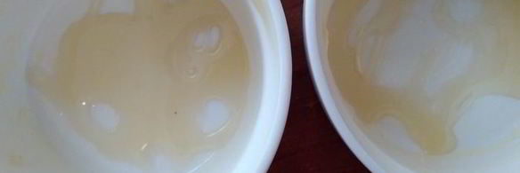 цитрусовый пудинг