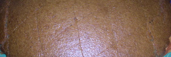 турецкий апельсиновый ревани