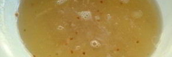 желе из белой смородины