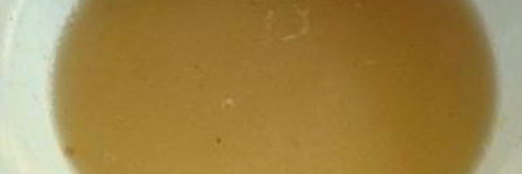 желе из белой смородины