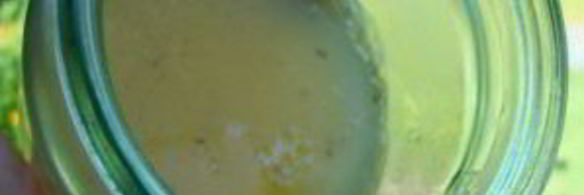 желе из белой смородины