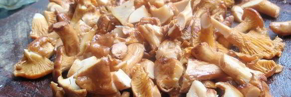 чечевица с лисичками