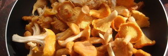 чечевица с лисичками