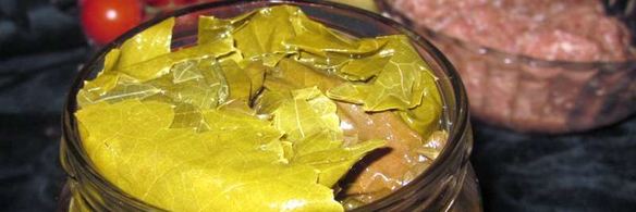 долма из маринованных листьев