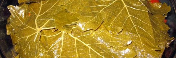 долма из маринованных листьев