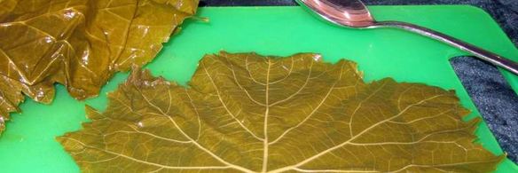 долма из маринованных листьев