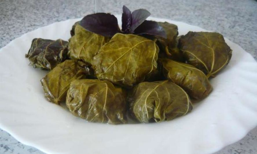 Рецепт долмы из свежих виноградных листьев