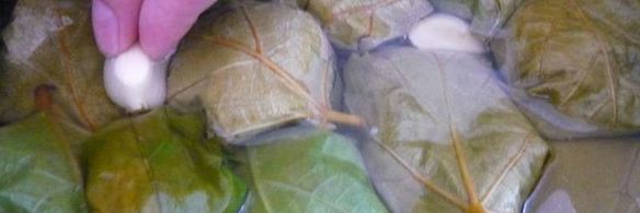 долма из свежих виноградных листьев