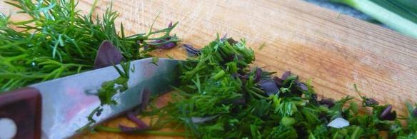 долма из свежих виноградных листьев