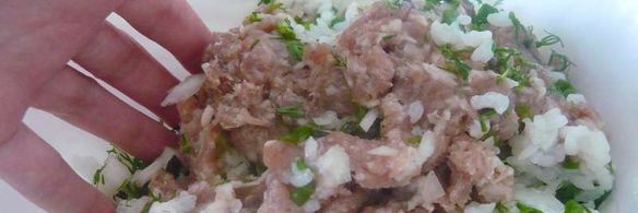 долма из свежих виноградных листьев