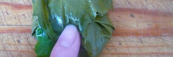 долма из свежих виноградных листьев