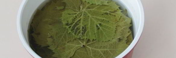 долма по-грузински