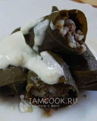 Долма в виноградных листьях