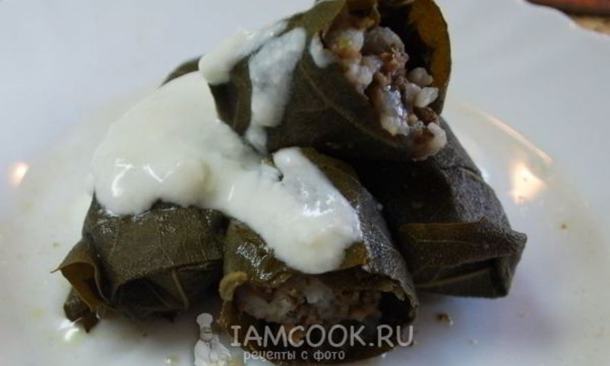 Рецепт долмы в виноградных листьях