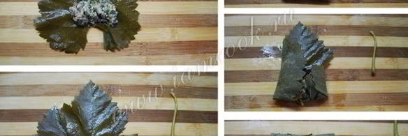 долма в виноградных листьях