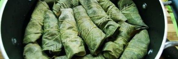 долма в виноградных листьях