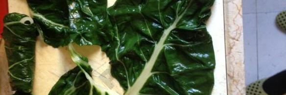 голубцы из мангольда