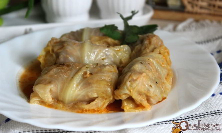 Рецепт голубцов из молодой капусты