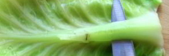 голубцы с мясом