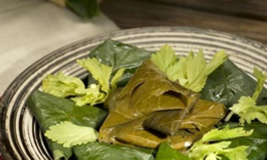 Рецепт голубцов с творогом в виноградных листьях