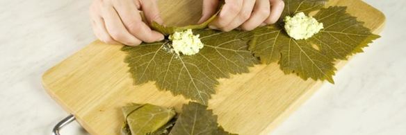 голубцы с творогом в виноградных листьях