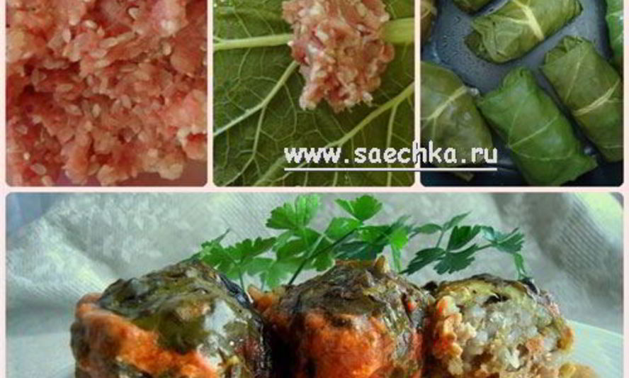 Рецепт голубцов в листьях ревеня