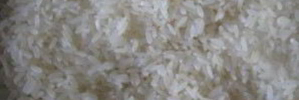 голубцы вегетарианские с грибами