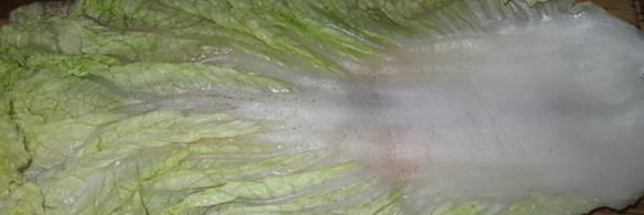 голубцы всевидящее око