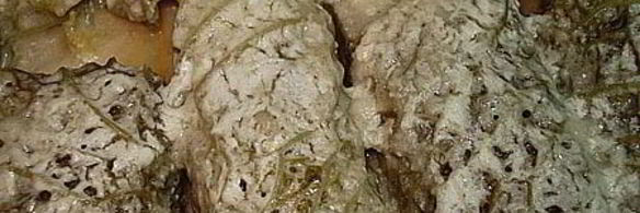 мини-голубцы из савойской капусты