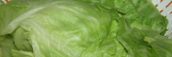 постные закусочные голубцы с острой морковной начинкой