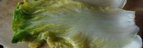 запеченные голубцы с фаршем из индейки