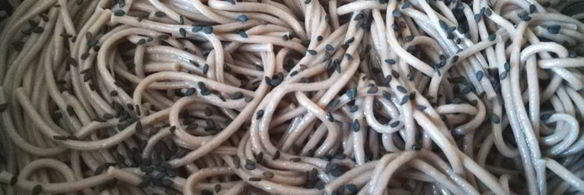 гречневая лапша со свежим огурцом