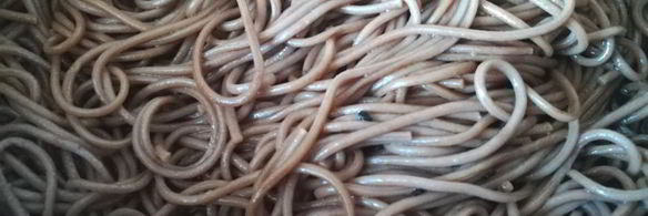 гречневая лапша со свежим огурцом