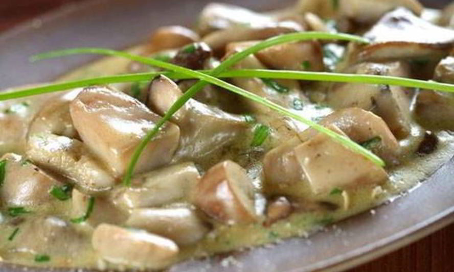 Рецепт белых грибов тушенных в сливочном соусе