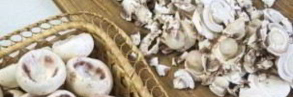 фаршированные шампиньоны с сыром и зеленью