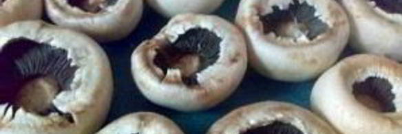 фаршированные шляпки шампиньонов