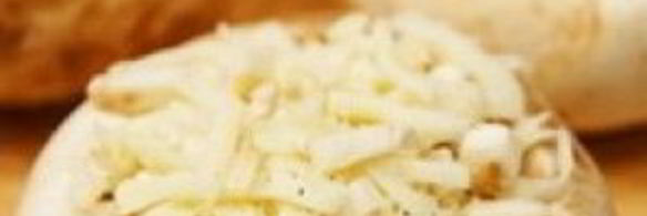 фаршированные шляпки шампиньонов