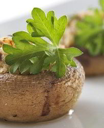 Грибы, фаршированные рикоттой и луком