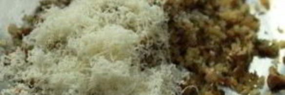 грибы фаршированные в микроволновке