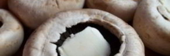 грибы под сыром в духовке