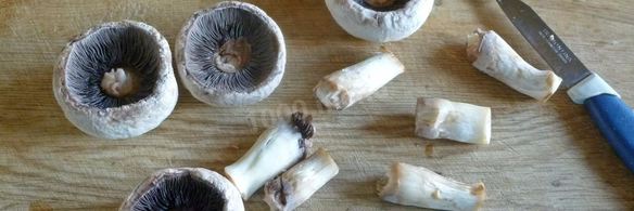 грибы с сыром и помидорами в духовке