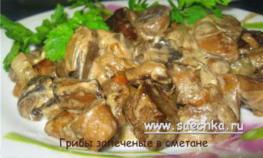 Рецепт грибов со сметаной