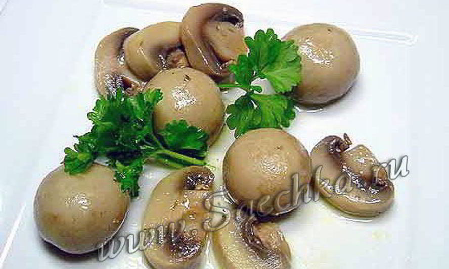 Рецепт грибов в маринаторе