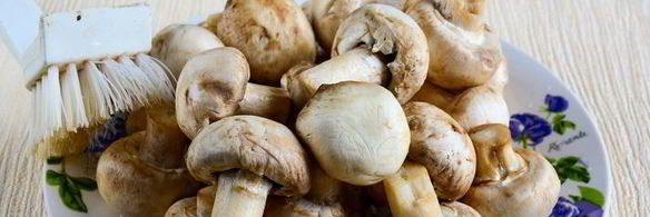 грибы в сливочном соусе